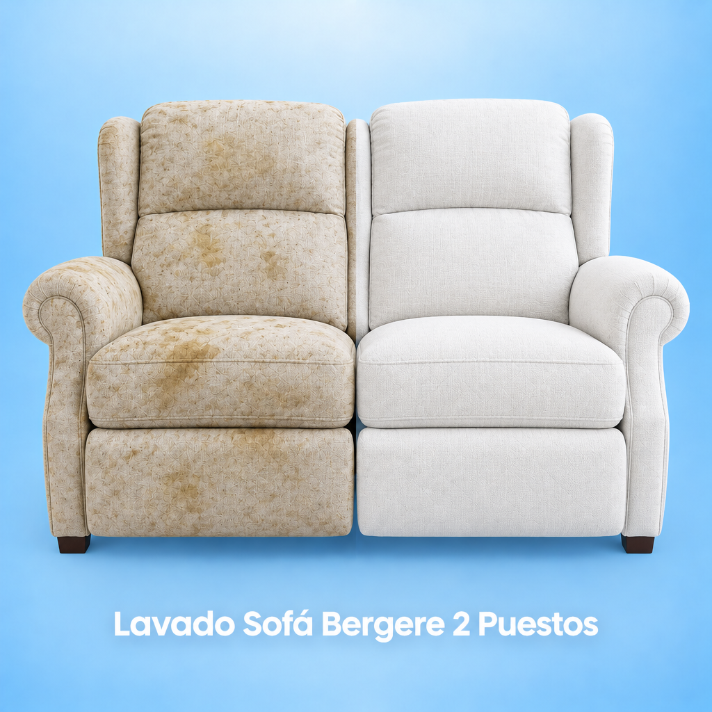 Lavado Sofá Bergere 2 Puestos