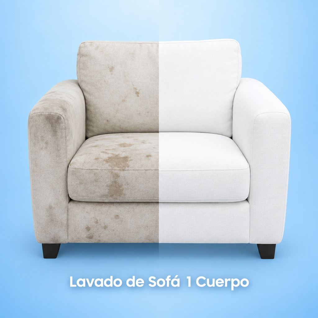 Lavado de Sofá 1 Cuerpo