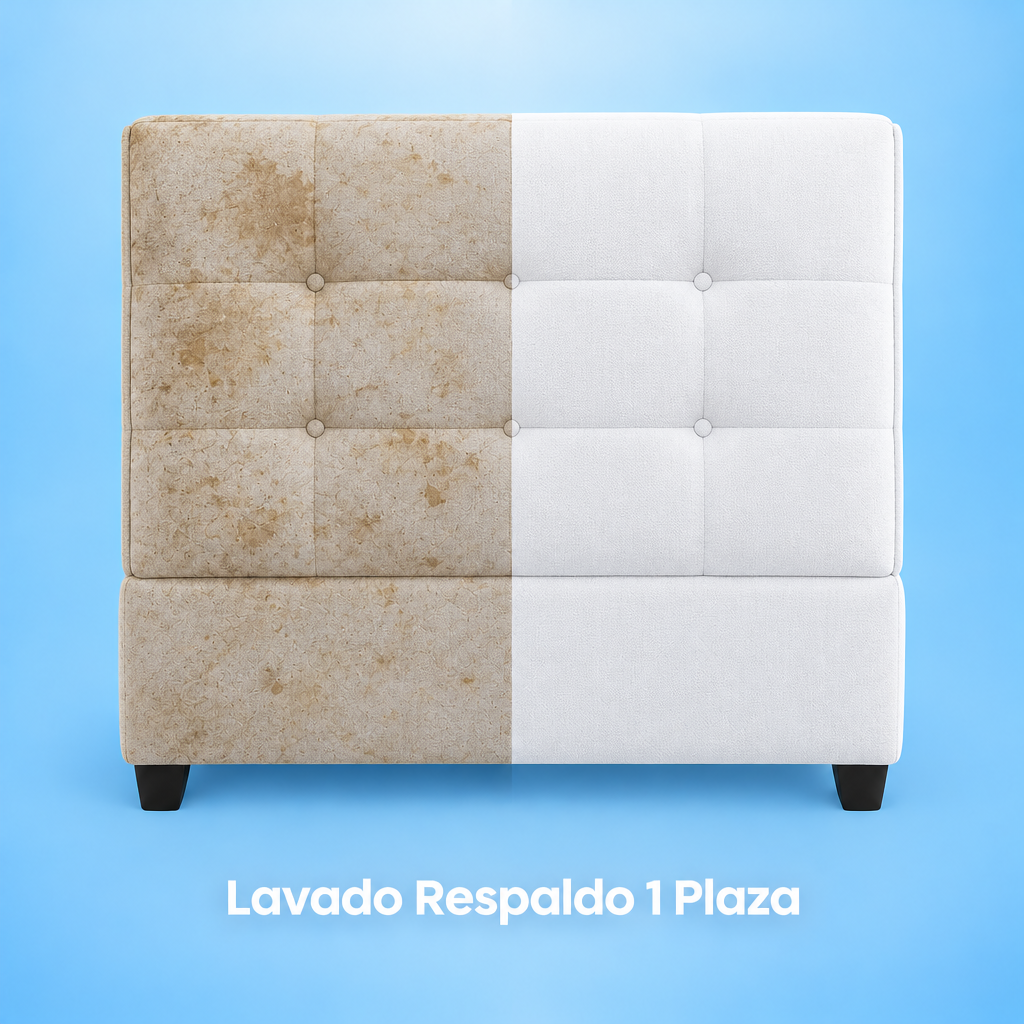 Lavado Respaldo 1 Plaza